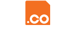 .co域名